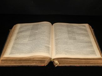 human-right bill of rights