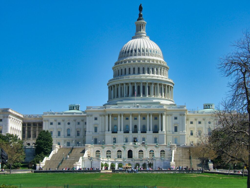 US Capitol IDEOLOGY vs issue