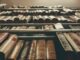 library of books illustrating the artice on 15 square DOES CIRCUMCISION PREVENT PROSTATE CANCER?