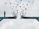 Man on a blue bridge, the middle of the bridge is turning into to birds who are flying away, symblosing the article about parents regret of having thier children circumcised