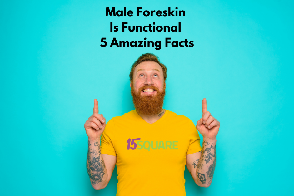 What is Foreskin  Anatomy and Function - Intaction