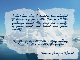 prince harry circumcision quote spare