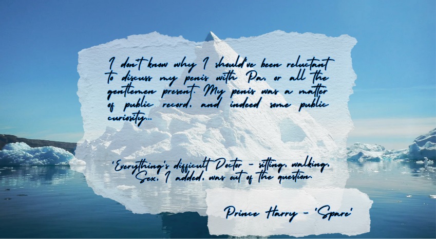 prince harry circumcision quote spare